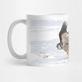 Northern Hawk-Owl Mug